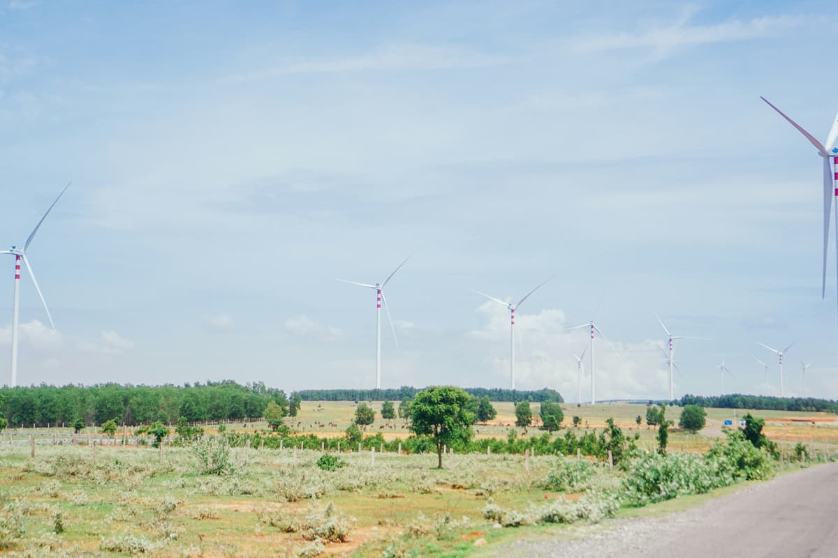 Construction progress